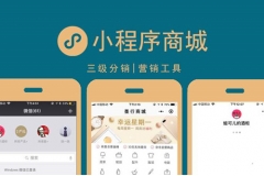 免費(fèi)分銷(xiāo)商城小程序好不好用