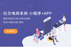 社交電商系統(tǒng)哪個平臺很好？