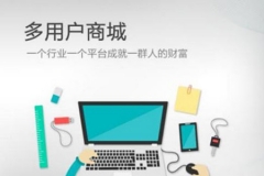 b2b2c商城系統(tǒng)維護費怎么確定?
